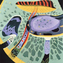 井隼慶人　IHAYA Keijin