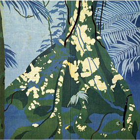 原生雨林　Primeval Rain Forest