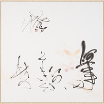 藤井　直子