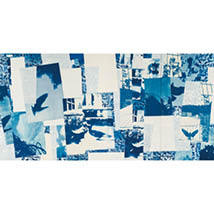 White and Blue