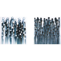 思い切りの悪い自画像