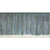 歪められた曾祖父-軍医の肖像